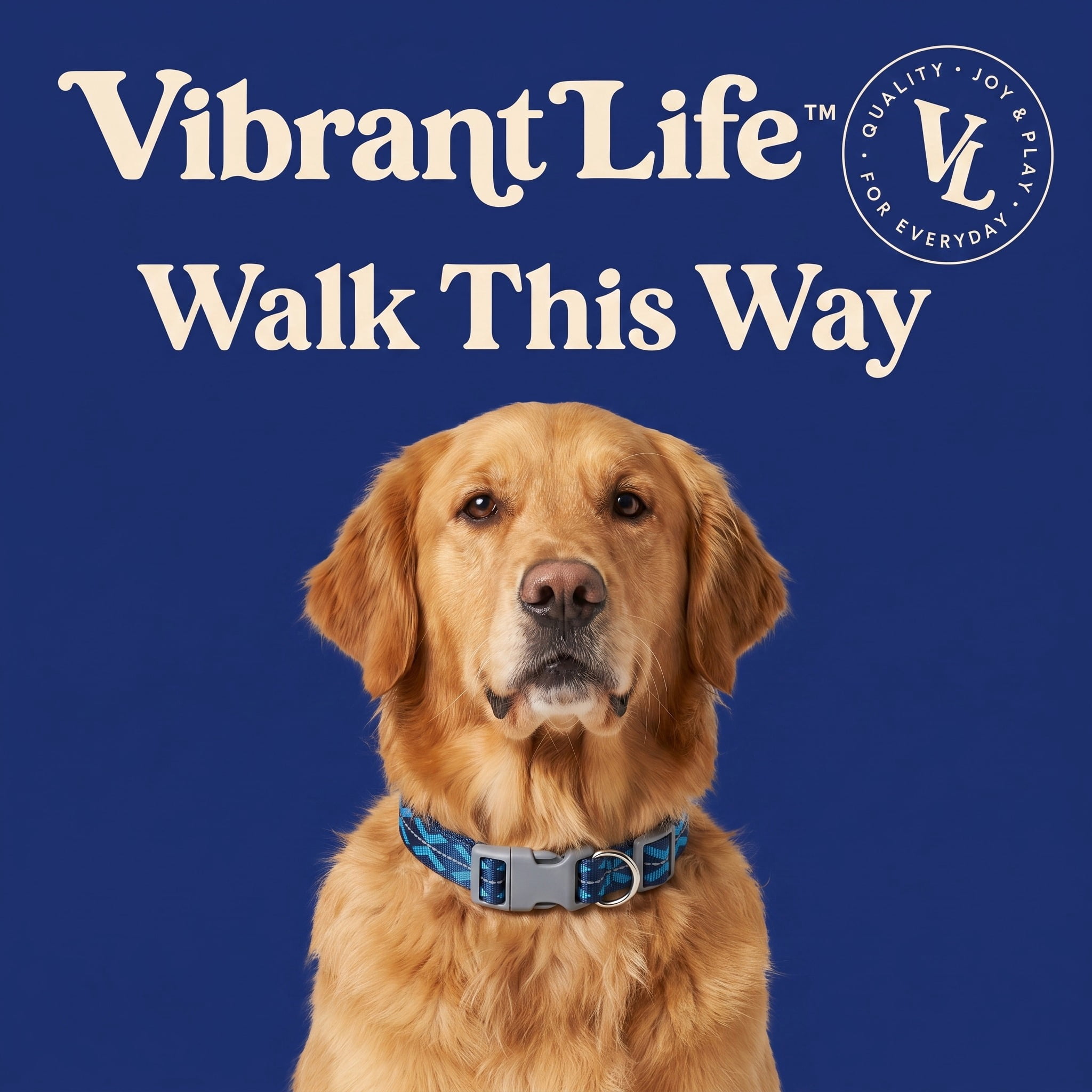 Vibrant Life Reflective Adjustable Dog Collar, Blue, L