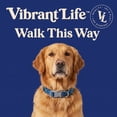 thumbnail image 2 of Vibrant Life Reflective Adjustable Dog Collar, Blue, L, 2 of 11