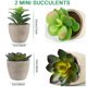 thumbnail image 5 of TOPOST Plantas Artificiales Decorativas Hogar, Macetas Decorativas Interior para Ba&ntilde;o, Sala y Oficina Escritorio, 5 of 7