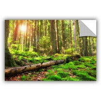 ArtWall Dragos Dumitrascu "Back to Green" ArtAppealz Removable Wall Art