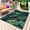 Black, variant on Tropical Plants Outdoor Rug for Patio/Deck/Porch, Non-Slip Large Area Rug 5 x 7 Ft, Summer Watercolor Teal Green Palm Leaves Indoor Outdoor Rugs Washable Area Rugs, Camping Rug Carpet Runner