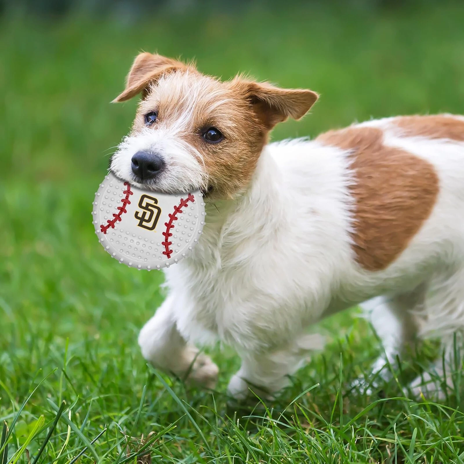 Pets First MLB Hard-Nylon Baseball Flavored Dog Chew Toys for Aggressive Chewers