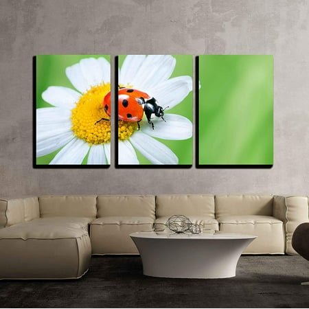 3 Piece Bug wall26 - 3 Piece Canvas Wall Art - Ladybug on Daisy in the Grass - Modern Home Decor Stretched and Framed Ready to Hang - 24