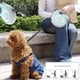 thumbnail image 4 of Correa retráctil para perro, correa para caminar para mascotas con mango antideslizante, cinta de nailon resistente, sin enredos, 16 pies azul, 4 of 5