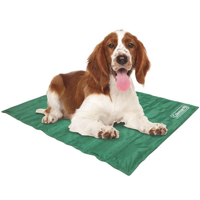 wipe clean dog mat