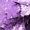 Purple1&1080, variant on CONFREE Girls Christmas Tshirts Crew Neck Graphic Casual Xmas T-Shirt for Kids