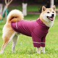 thumbnail image 3 of CBFFDC Quick Drying Pet T-shirt Pet T shirt Soft Breathable Reflective Strip Comfortable Quick Drying Protection Polyester Sports Dog T shirt with Hat Outdoor, 3 of 6