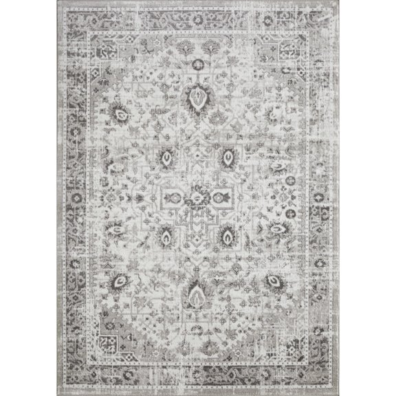 Loomaknoti Rhane Allory 8' x 10' Gray Oriental Indoor Area Rug