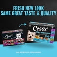 thumbnail image 4 of Cesar Steak & Chicken Lovers Variety Pack Real Beef Or Chicken Wet Dog Food, 3.5 Oz Trays (36 Ct), 4 of 14