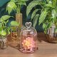 thumbnail image 5 of Terrario con cúpula de vidrio con patrón de corazón en forma de arco y base de vidrio, vitrina decorativa para candelabro, kits de exhibición de plantas de flores eternas de 4 x 6 pulgadas, 5 of 7