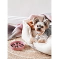 thumbnail image 2 of Cuencos de cerámica con alimentación lenta para perros LE TAUCI PET de raza pequeña, rosa, 2 of 6