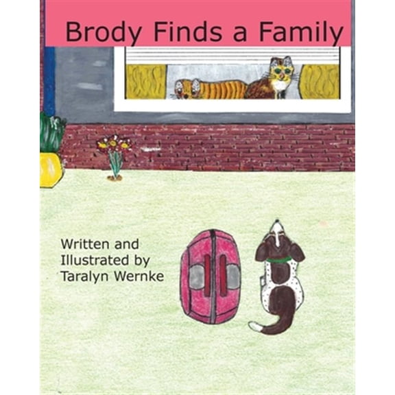 Pre-Owned Brody Finds a Family, (Paperback)