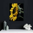thumbnail image 5 of Nawypu Canvas Prints Wall Art For Home and Office Wall Decoration Sunflower Side View Canvas Artwork Print Painting Picture Flower Modern Abstract Wall Art for Living Room Bedroom Kitchen, 5 of 5