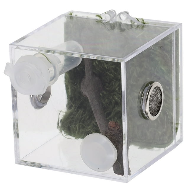 AURARMLET Terrario Para Alimentación De Reptiles Con Caja Y Resistente Acrílico