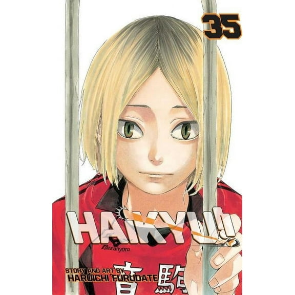 Haikyu!!: Haikyu!!, Vol. 35 (Series #35) (Paperback)