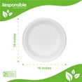 thumbnail image 2 of Compostable 10 Inch Round Plates (Value Pack), 2 of 3