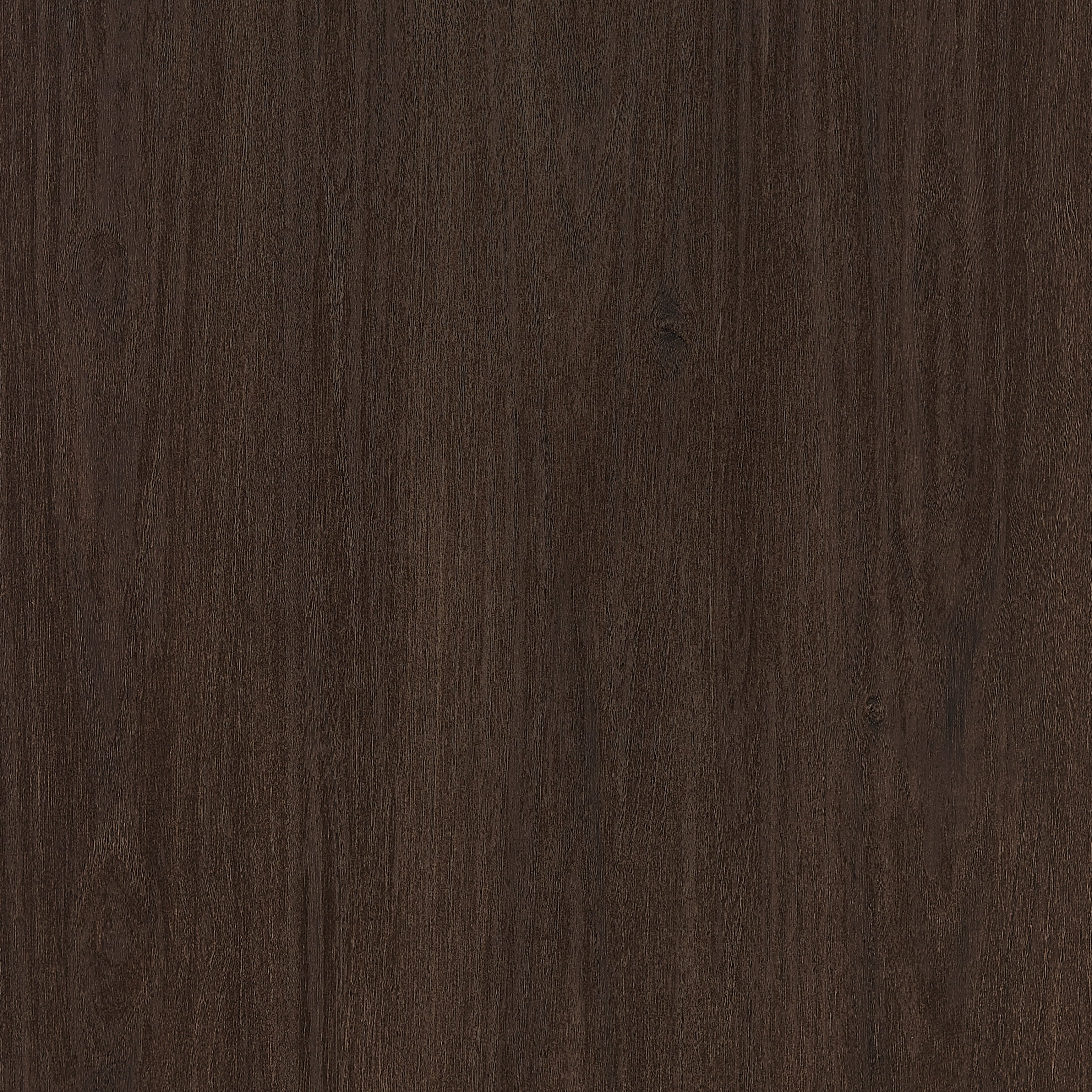 Evelyn&Zoe Modern/Contemporary 48" Wide Brown Oak Home Office