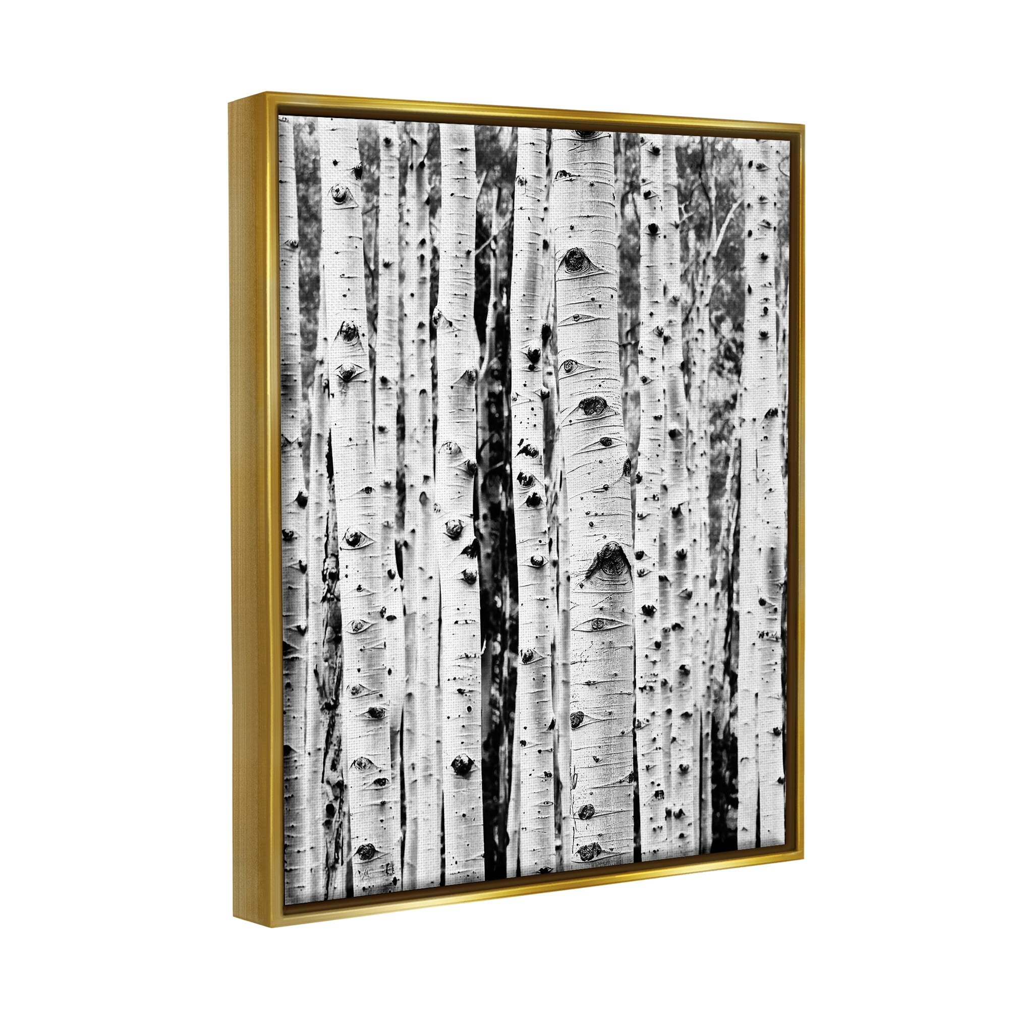 Stupell Industries Birch Trees Forest Nature Photography Gold Floater Framed Art Print Wall Art, 17 x 21