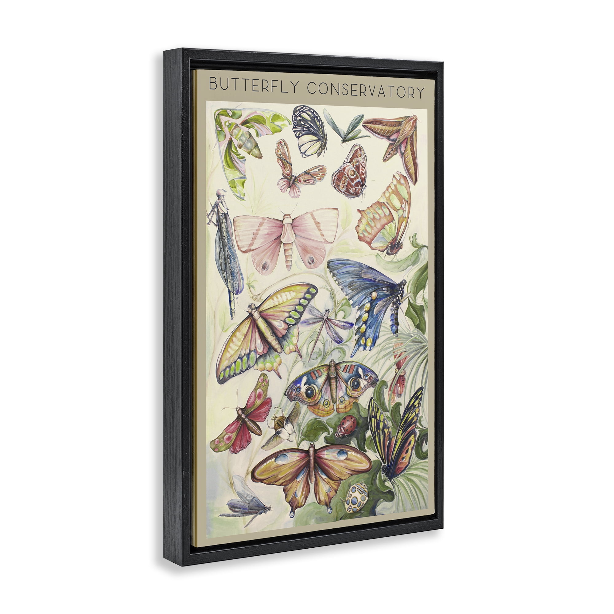 Stupell Industries Butterfly Conservatory Insects Black Framed Floater Canvas Wall Art, design by Diannart