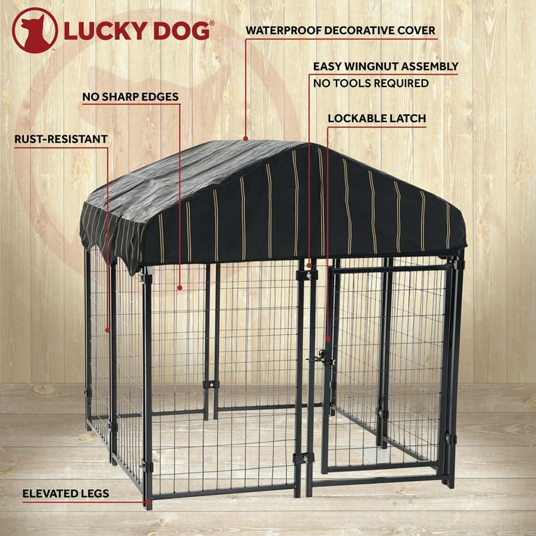 Lucky dog sale resorts