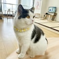 thumbnail image 6 of CIYISON Pack of 5 Plush Pet Collars with Colorful Pompoms Adjustable Cats Collar Dog Neckwear for Festival Birthday Parties, 6 of 14