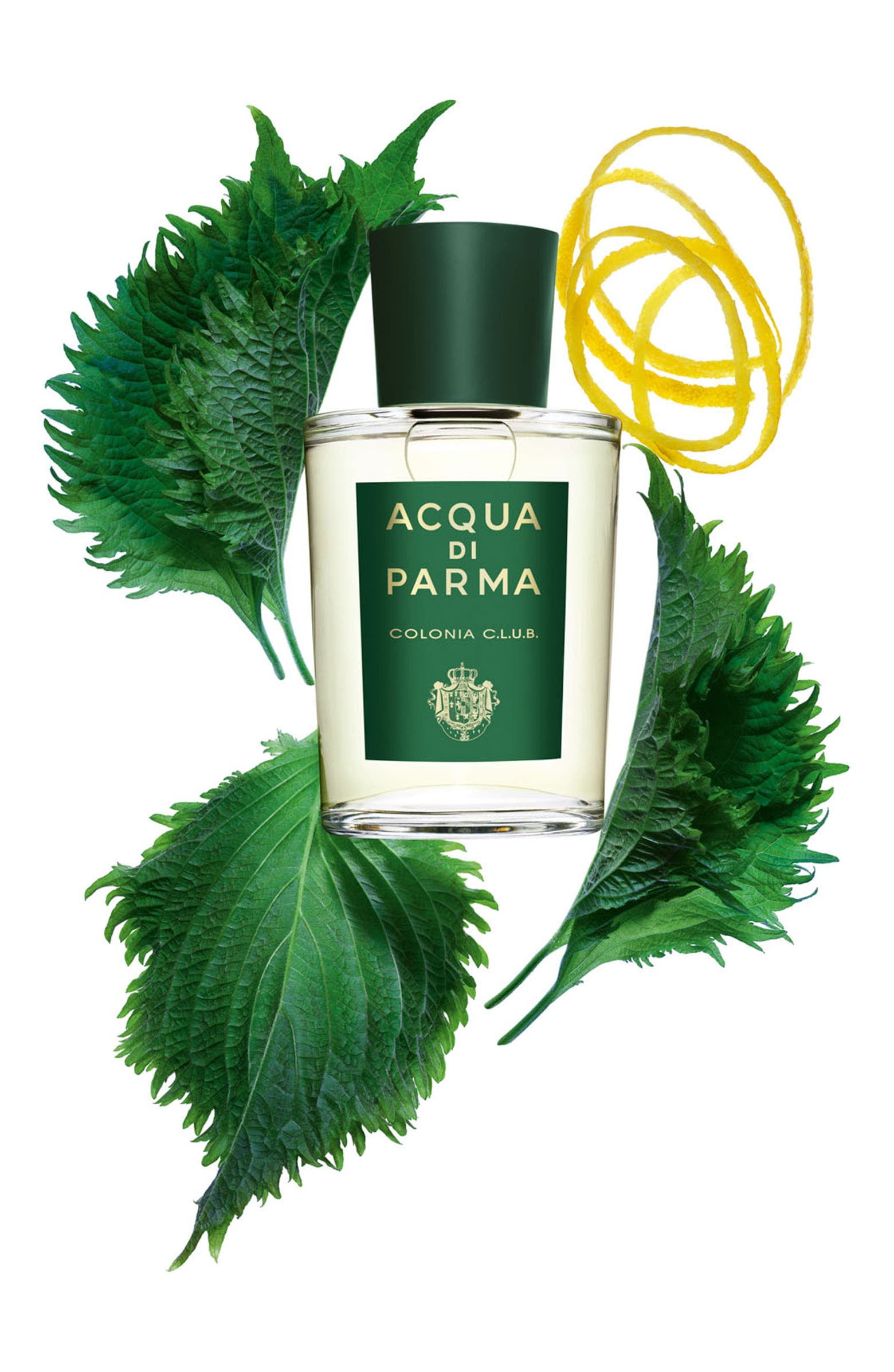 Acqua Di Parma Men's Colonia Club EDC 6.0 oz Fragrances