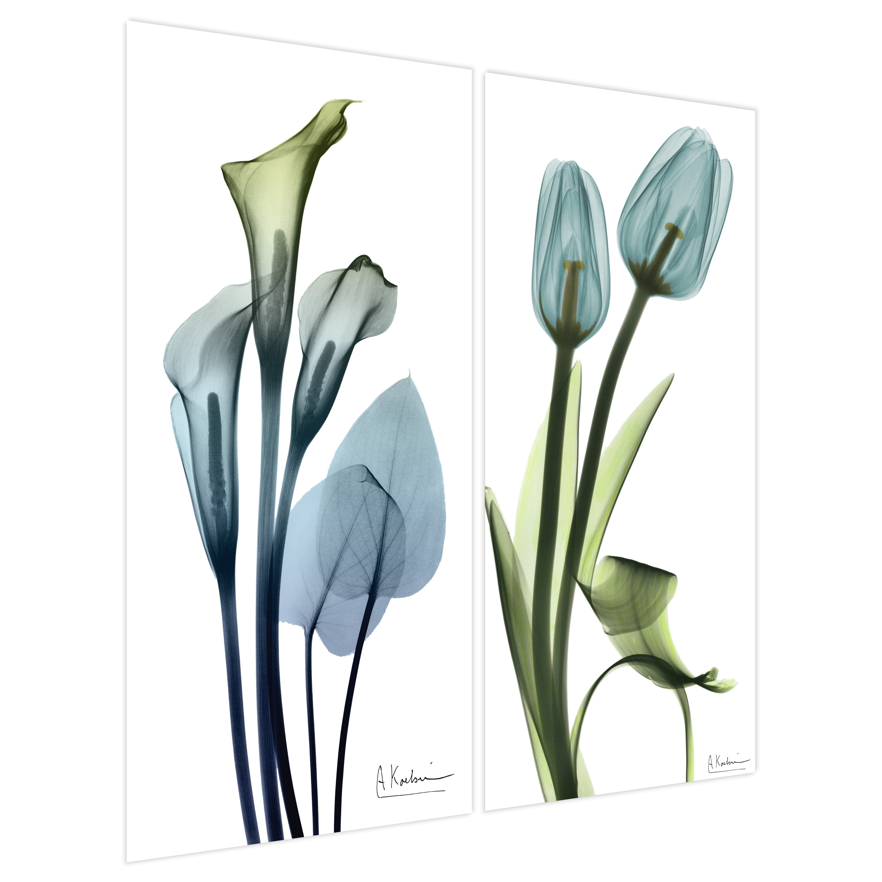 Empire Art Direct Calla Lily and Blue Tulips Frameless Free Floating Tempered Glass Panel Graphic Wall Art Set of 2, 72" x 36" x 0.2" each, Ready to Hang