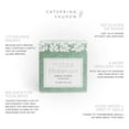 thumbnail image 4 of CatSpring Yaupon Tea, Yaupon Green Pedernales, Light Roast, Organic - 1 box, 4 of 7