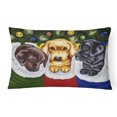 thumbnail image 1 of Carolines Treasures AMB1315PW1216 Christmas Stocking Surprise Labrador Fabric Decorative Pillow, 1 of 3