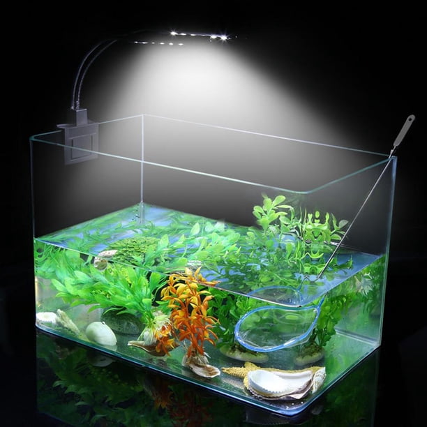 Aquatic Plant Grow Lighting For Reef Tanks preview