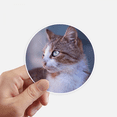 thumbnail image 1 of Brown Cat Animal Profile Stare Sticker Round Wall Suitcase Laptop Label Bumper, 1 of 1