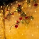 thumbnail image 4 of Red impermeable de 200 luces LED de hadas - Decoración de cortina de 3 x 2 metros - 8 modos - Interior/exterior - Jardín/Boda/Fiesta - Enchufe de la UE, 4 of 7