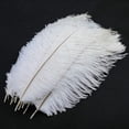 thumbnail image 5 of Mwoot 10pcs Natural Ostrich Feathers, Ostrich Feather Plume for Wedding Party Table Decoration (White, 25-30cm), 5 of 5