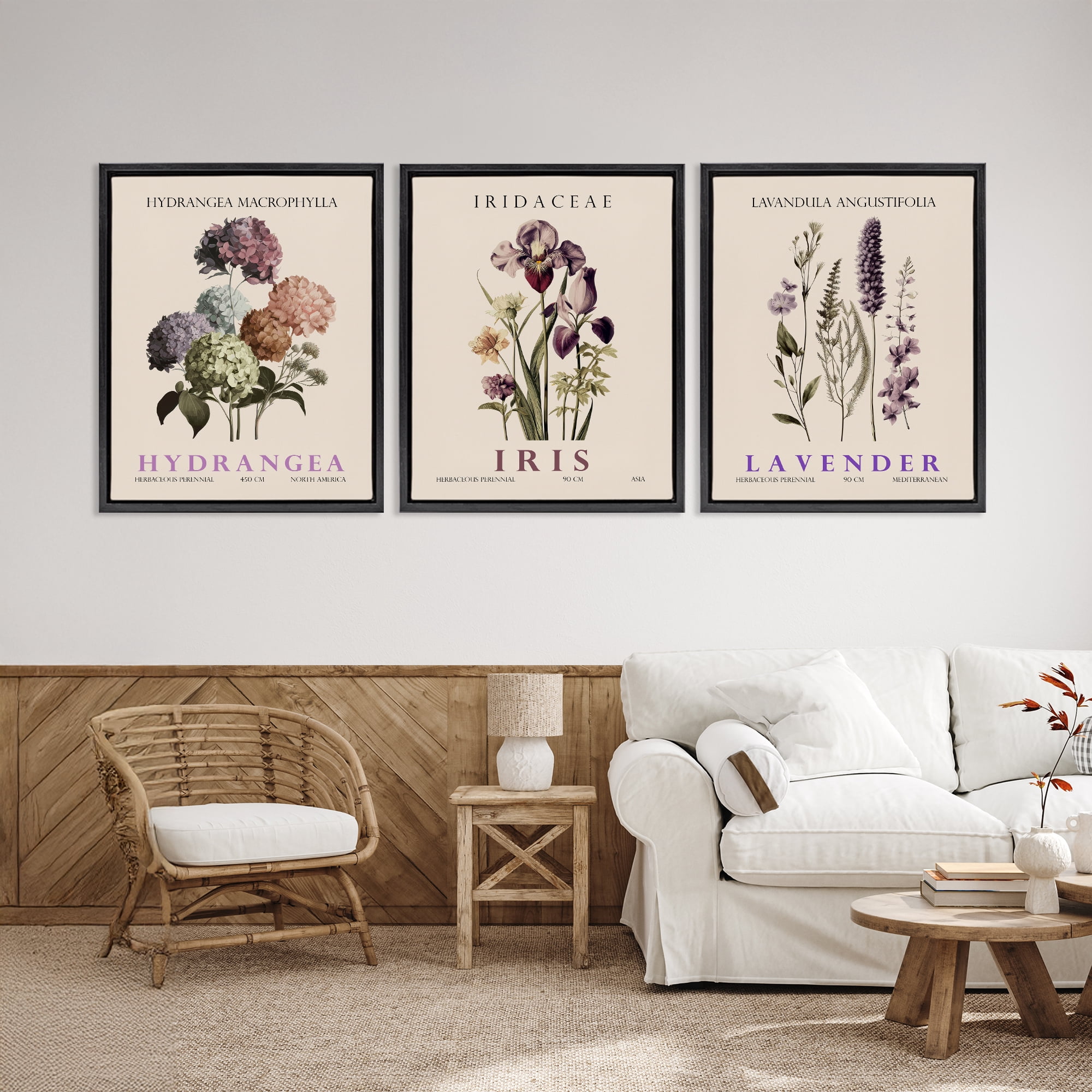 Stupell Industries Botanical Bundles & Sprigs 3 Piece Black Framed Floater Canvas Set, design by Christopher Giampietro