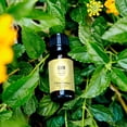 thumbnail image 2 of Edens Garden Lemon Around The World Essential Oil- 100% Pure Premium Grade, Undiluted, Natural, Therapeutic, Aromatherapy, The Best for Diffuser, Candle, Laundry, Humidifiers 118 ml (4 fl oz), 2 of 9