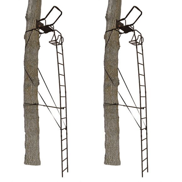 Big Game Warrior DXT 17 Foot Portable Hunting Tree Stand Ladder (2 Pack)