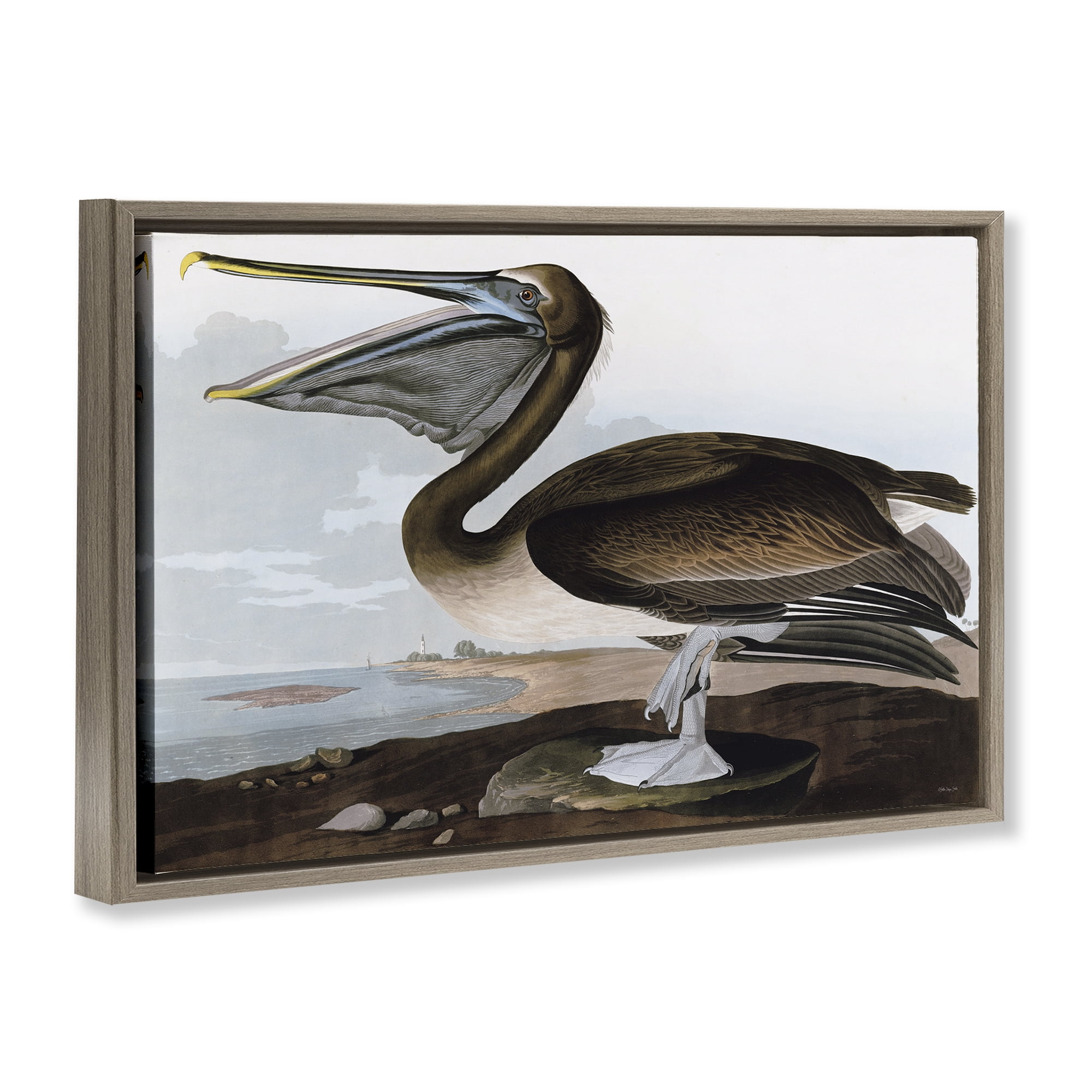 Stupell Industries Classic Pelican at Beach Animals & Insects Painting Brown Floater Framed Canvas Art Print Wall Art, 31 x 21