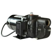 Wayne Cast Iron Shallow Well Jet Pump, 1 Hp, 120 Volts, 630 Gph