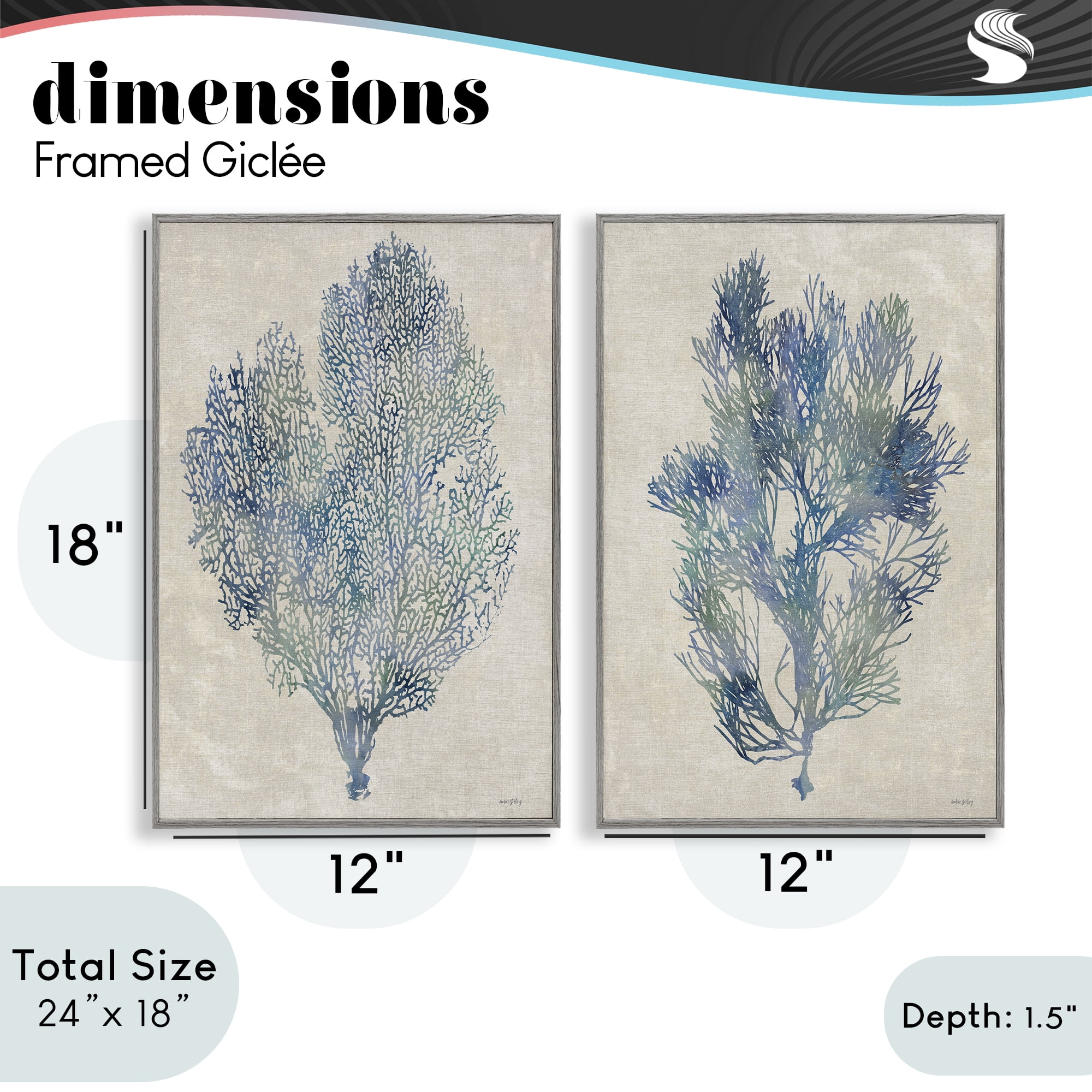 Stupell Industries Fan Coral Study in Blues 2 Piece Gray Framed Giclee Art Set, design by Amber Sterling