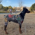 thumbnail image 4 of Pet Funny Cool Print Four-Legged Shirt Breathable Soft Puppy Jumpsuit Bodysuit For Small Dogs All Seasons, 4 of 9
