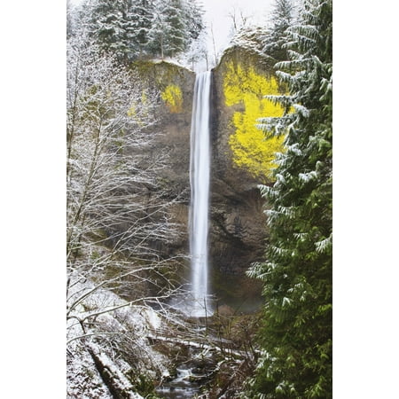 Snow Adds Beauty To Latourell Falls Columbia River Gorge National Scenic Area Oregon United States Of America Stretched Canvas - Craig Tuttle  Design Pics (12 x