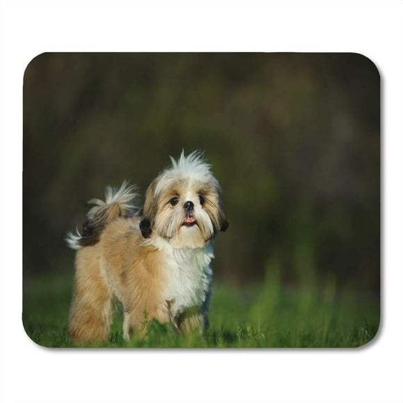 NUDECOR Dog Shih Tzu Standing in The Field Puppy Mousepad Mouse Pad Mouse Mat 9x10 inch