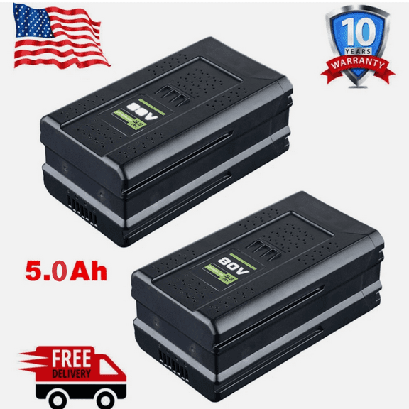 FERRYBOAT 2 Packs 80V 5.5Ah GBA80200 Replacement for Greenworks 80V Battery GBA80200 GBA80250 GBA80400 Compatible with Greenworks 80V Max Series Cordless Power Tools