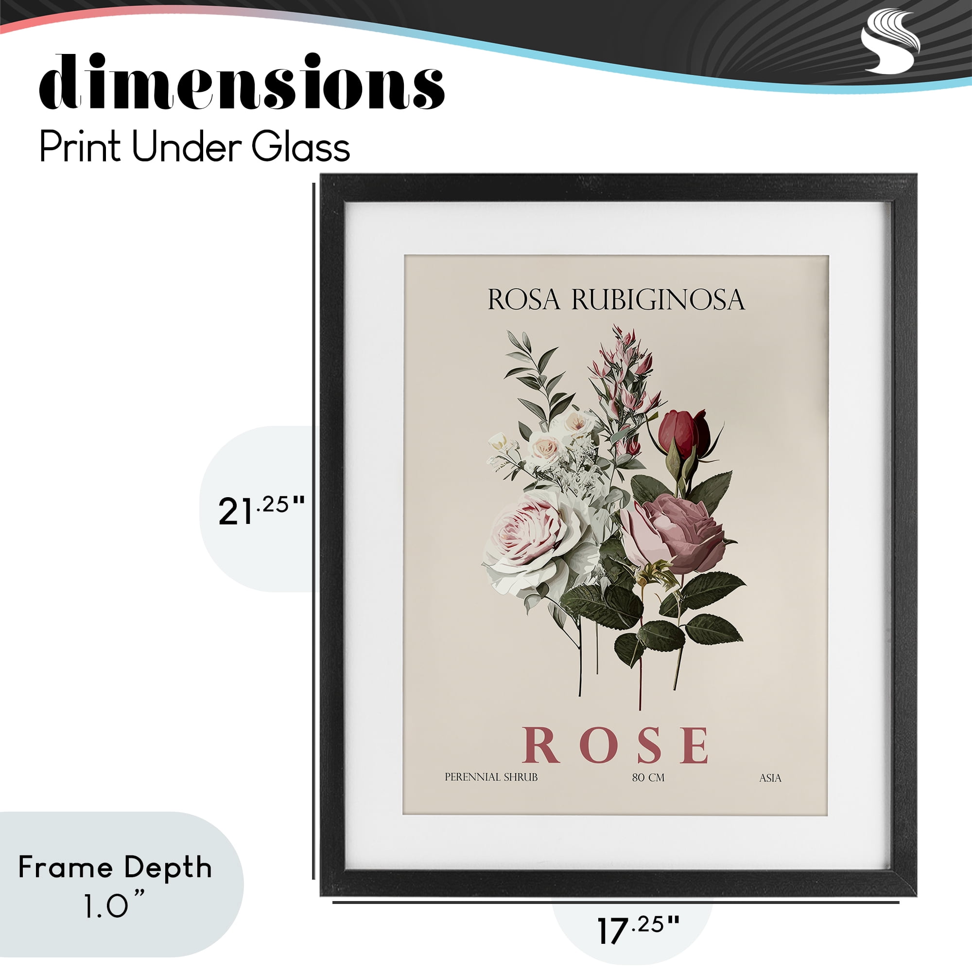 Stupell Industries Natural Rose Bundle Black Framed Print Under Glass, design by Christopher Giampietro