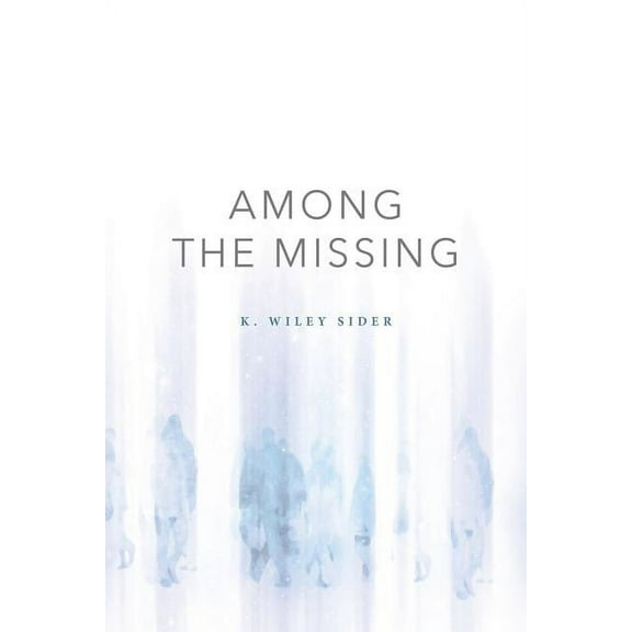 Among the Missing (Paperback)
