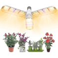 thumbnail image 1 of Plant Light, Plant Lighting, Interior Planting Light Filling Light Of Succulent Flowers And, 1 of 2