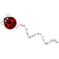 thumbnail image 3 of CafePress - Ladybug Rhyme - Women's Light Pajamas, 3 of 4