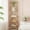 Gold, variant on Bookcase Bookshelf, Tempered Glass Arched Bookshelf for More Storage, Slim Shelving Unit for Bedroom, Bathroom, Home Office, Steel Frame