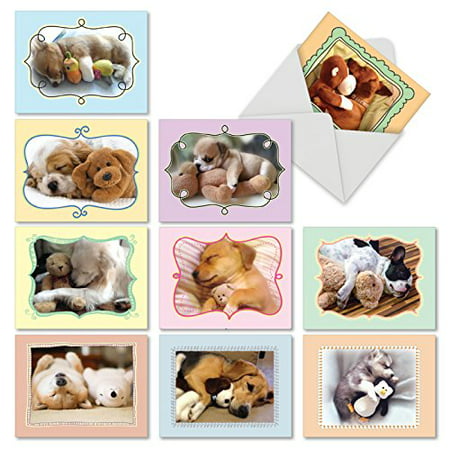 'M6469OCB CUDDLE BUDDIES' 10 Assorted All Occasions Cards Featuring Sweet and Adorable Sleeping Puppies Cuddling With Their Favorite Stuffed Animals with Envelopes by The Best Card