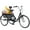 Black, variant on Adult Tricycles, 7 Speed Adult Trikes 24 inch 3 Wheel Bikes, Cruise Bike with Basket for Seniors, Women, Men for Recreation, Shopping, Exercise, Multiple Colors